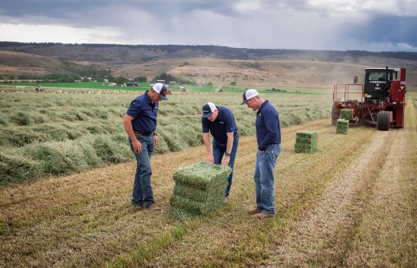 Crop Farm - Ward Rugh | Holmes WA